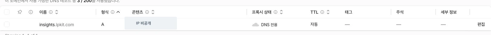 Cloudflare DNS 목록의 insights A 레코드와 DNS only 상태